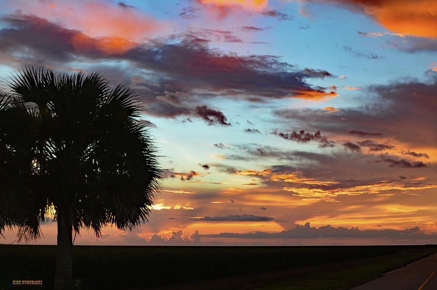 Sunset Palm Florida Photograph by Ken Figurski