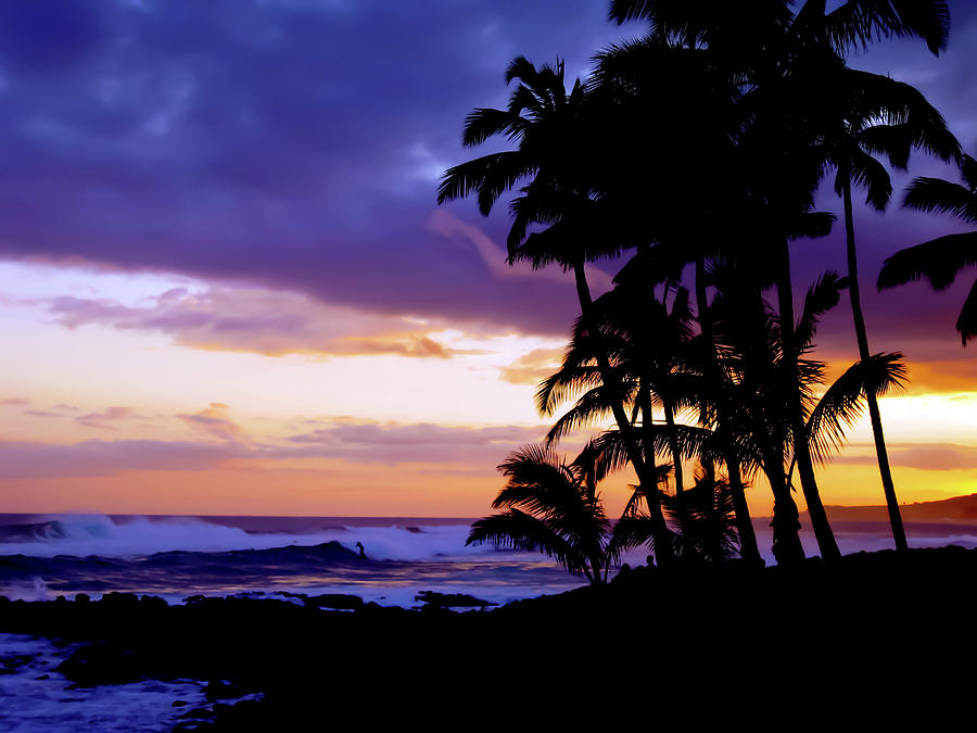 Sunset Palms Photograph by Baywest Imaging