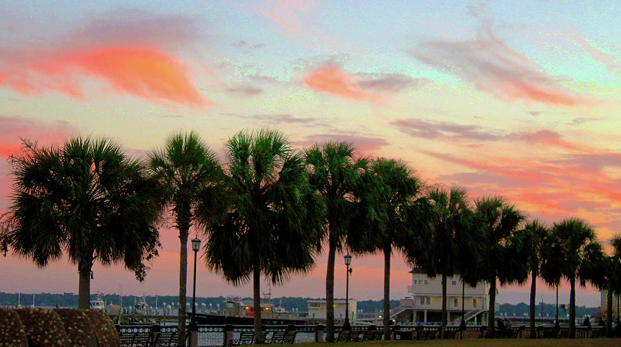 Sunset Palms Photograph by Rod Whyte