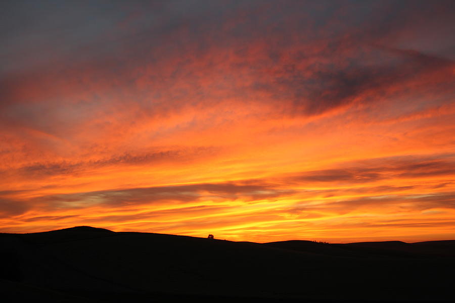 Sunset Palouse Style Photograph