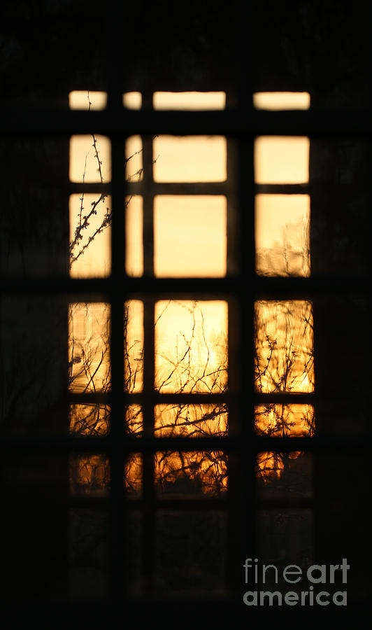 Sunset Panes Photograph by Rachel Morrison