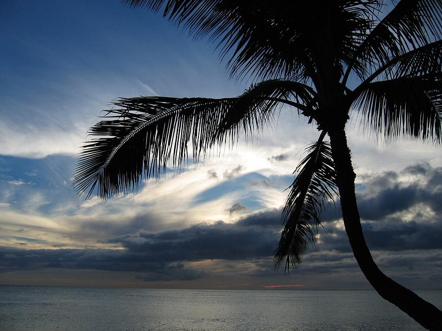 Sunset Paradise Cove Oahu Photograph by Stacey Willis - Fine Art America