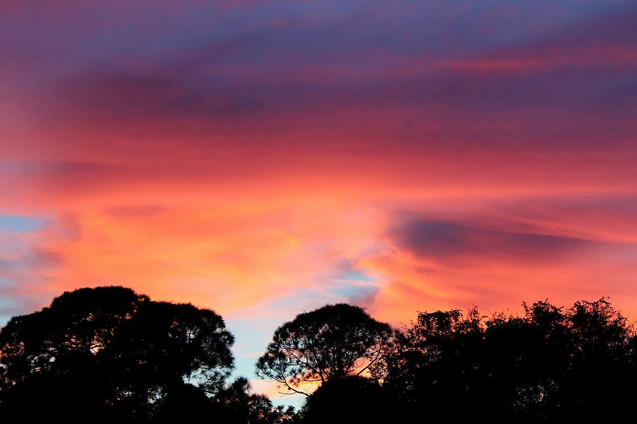 Sunset Pastels Photograph by Robert Wilder Jr