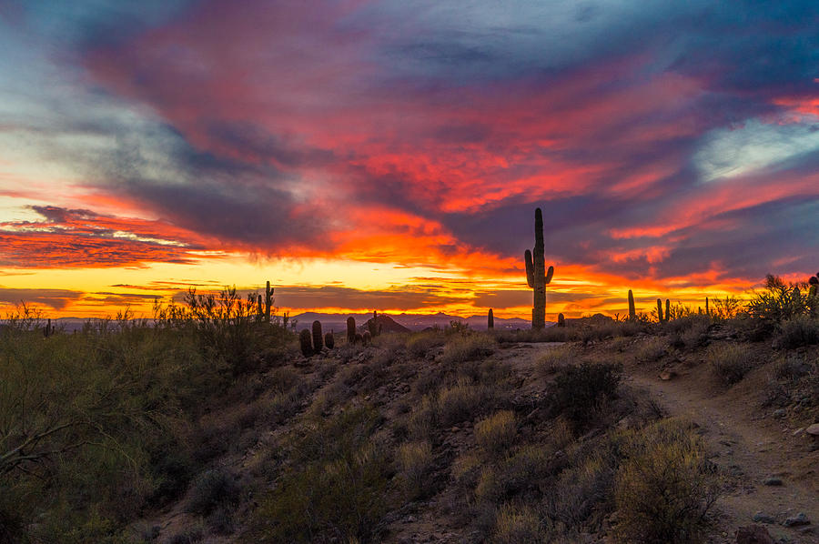 Sunset Path Photograph by Casey Stanford | Fine Art America