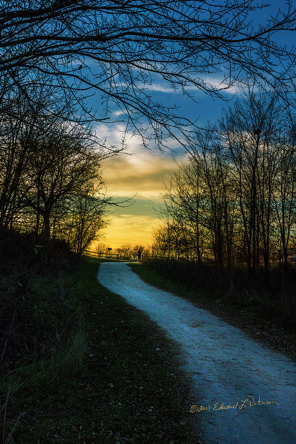 Sunset Path Photograph by Ed Peterson
