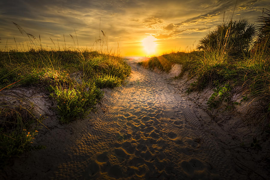 Long Beach Photograph - Sunset Path by Marvin Spates