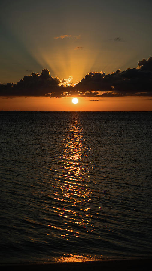 Sunset Path Tampa Florida Photograph by Lawrence S Richardson Jr