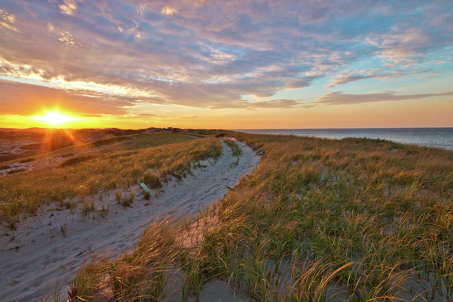 Sunset Path to Euphoria Photograph by Marisa Geraghty Photography
