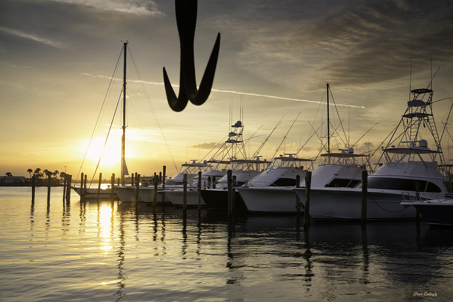 Sunset, Pelican Island Yacht Club Photograph by Fran Gallogly