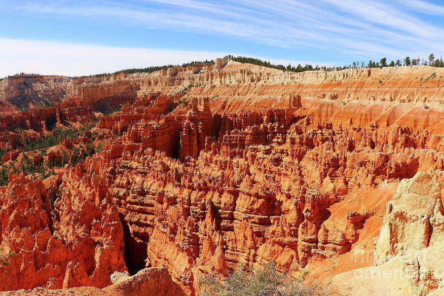 Sunset Point At  Bryce Canyon  Photograph by Christiane Schulze Art And Photography