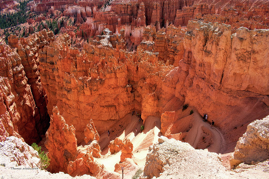 Sunset Point Bryce Canyon Utah 01 Photograph by Thomas Woolworth