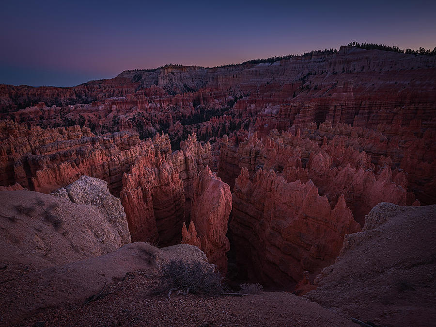 Bryce Canyon National Park Photograph - Sunset Point by Edgars Erglis