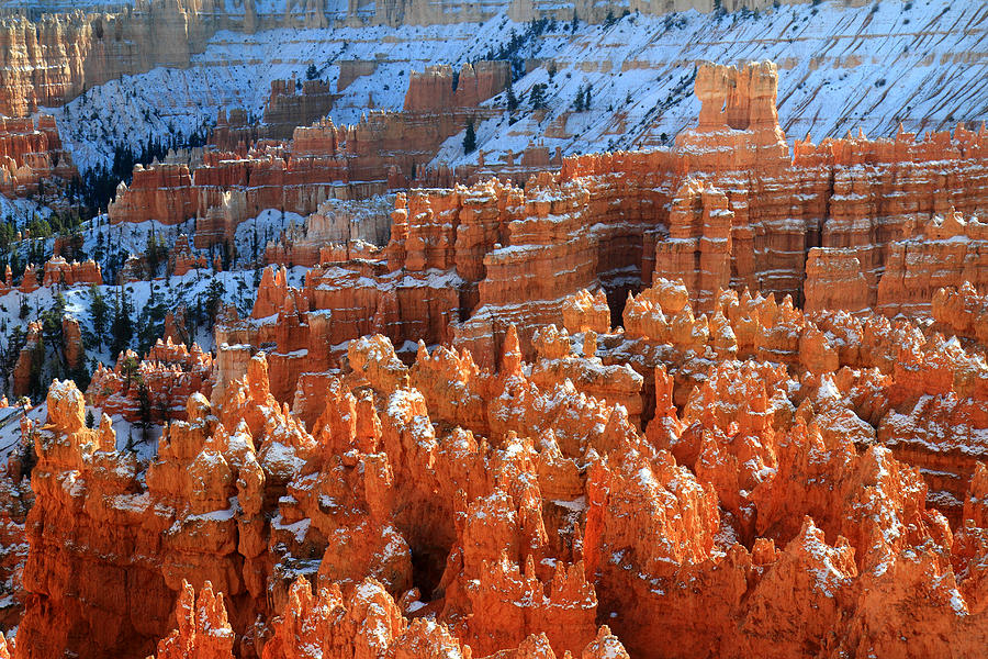 Bryce Photograph - Sunset Point Hoodoos In Bryce Canyon by Pierre Leclerc Photography Bryce Photograph - Sunset Point Hoodoos In Bryce Canyon by Pierre Leclerc Photography
