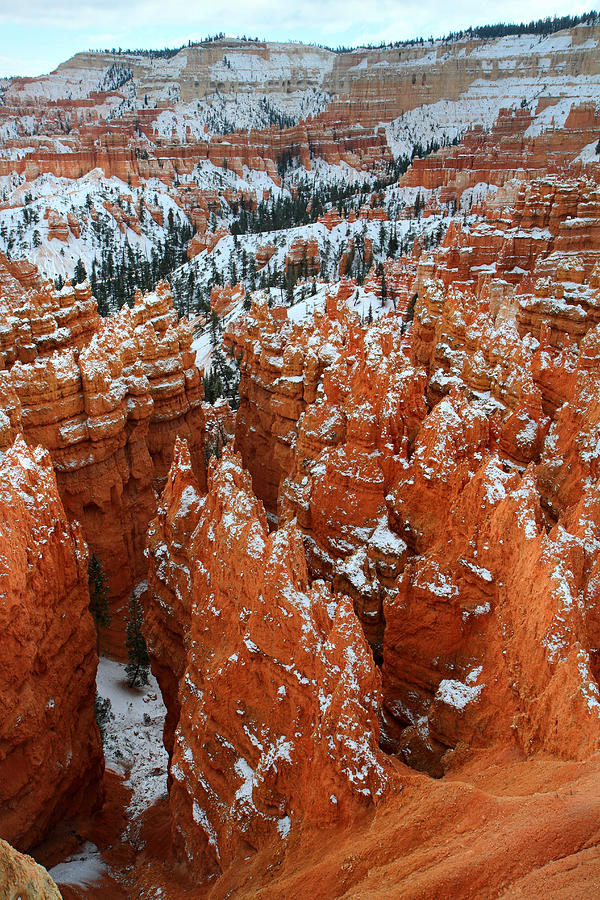 Sunset point in Bryce Canyon Photograph by Pierre Leclerc Photography