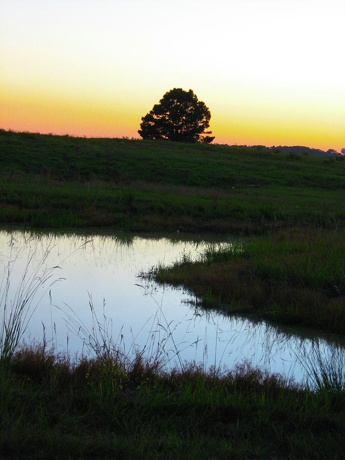 Sunset Pond Photograph by Judith Lauter
