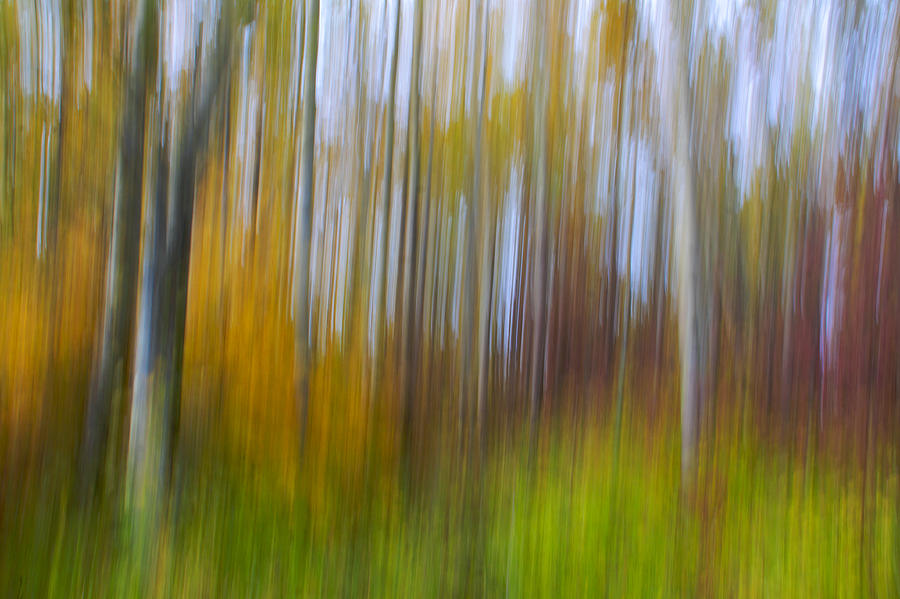 Abstract Photograph - Sunset Pond Trail 1 by Julius Reque