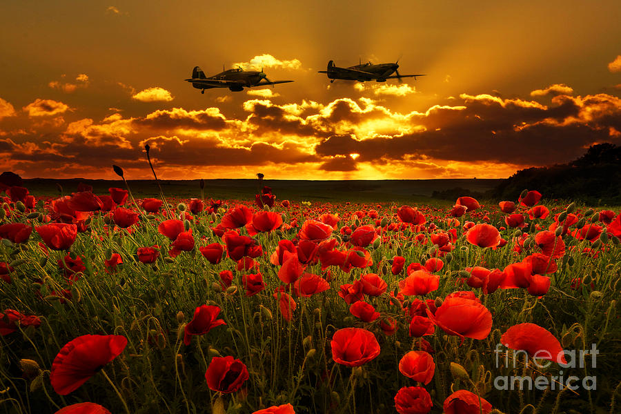 Sunset Poppies Fighter Command Digital Art by Airpower Art