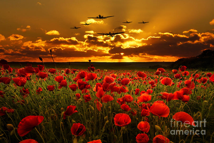 Sunset Poppies The BBMF Digital Art by Airpower Art