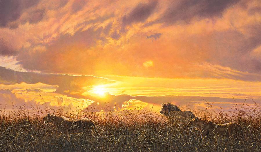 Lion Painting - Sunset Prowl by Alan M Hunt