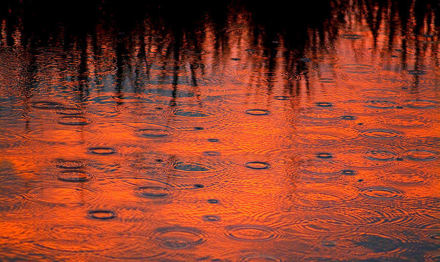Sunset Rain on Water Photograph by Bob Coates