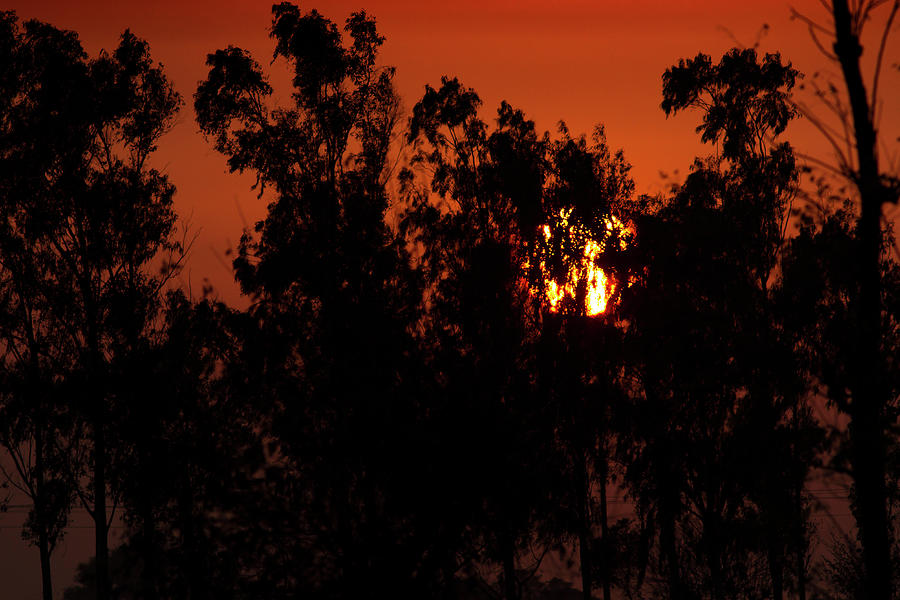 Sunset  Photograph by Ramabhadran Thirupattur