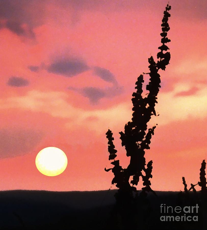 Sunset Photograph by Raymond Earley