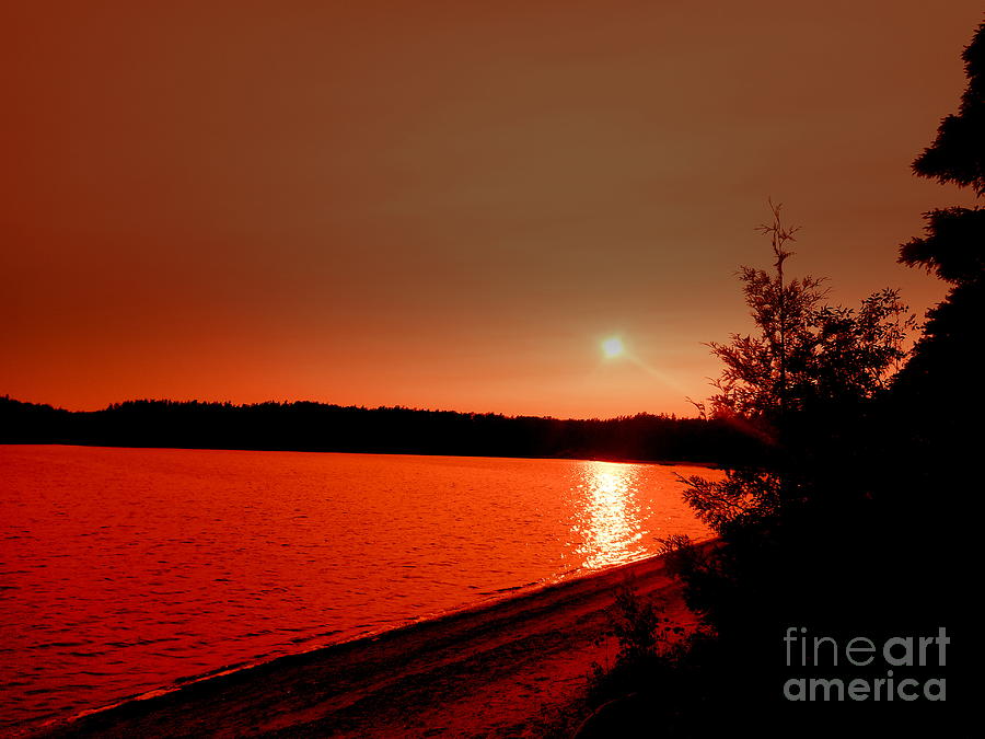 Sunset Red Photograph by Wild Rose Studio