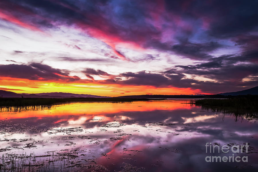 Sunset Reflection Photograph by Amy Sorvillo