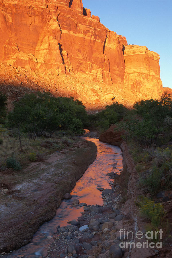 Capitol Reef National Park Photograph - Sunset Reflection - Fremont River by Sandra Bronstein