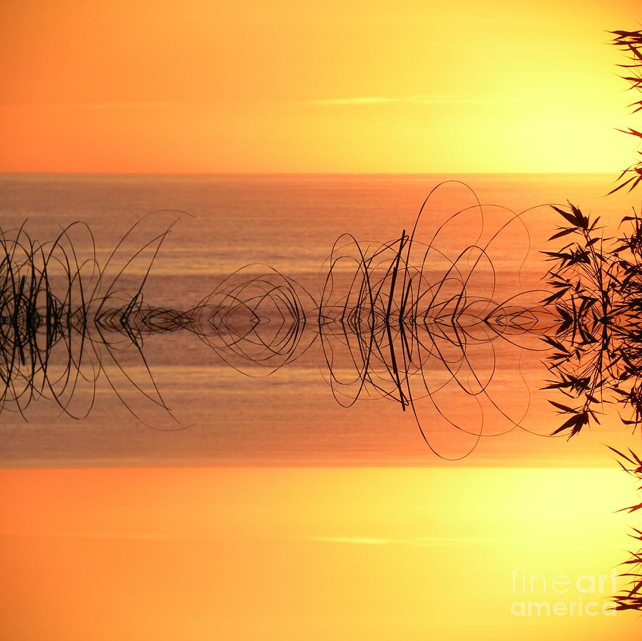 Sunset Photograph - Sunset Reflection by Sheila Ping