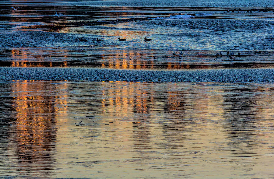 Sunset Reflections and Gullls Central Park Reservoir Photograph by Robert Ullmann