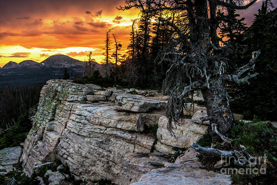 Sunset Ridge - Uinta Mountain Range - Utah Photograph by Gary Whitton