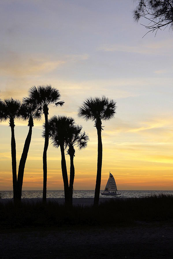 Sunset Sail at Coquina Photograph by Laurie Perry