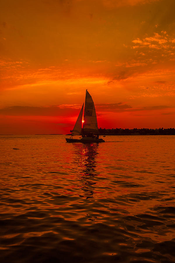 Sunset Sail Photograph by Dan Vidal