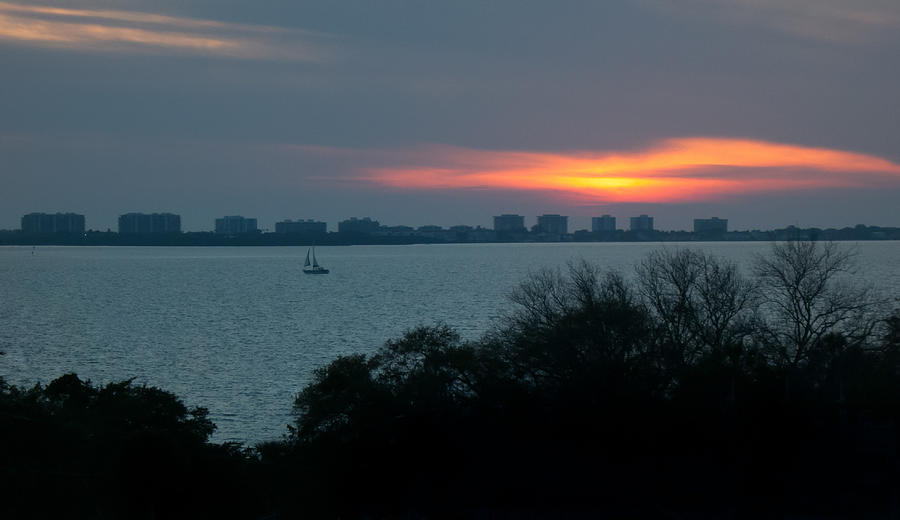 Sunset Sail on Sarasota Bay Photograph by Richard Goldman