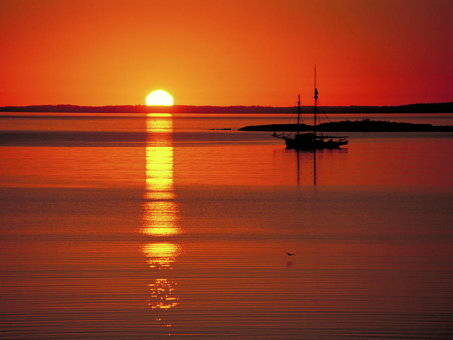 Sunset Sail Photograph by Rod Kaye
