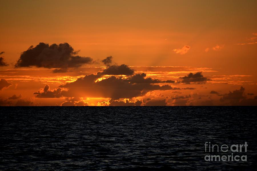 Sunset Sail Photograph by Tamara Michael