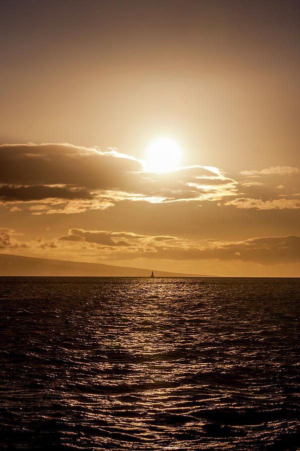 Sunset Sailboat Photograph by Daniel Murphy