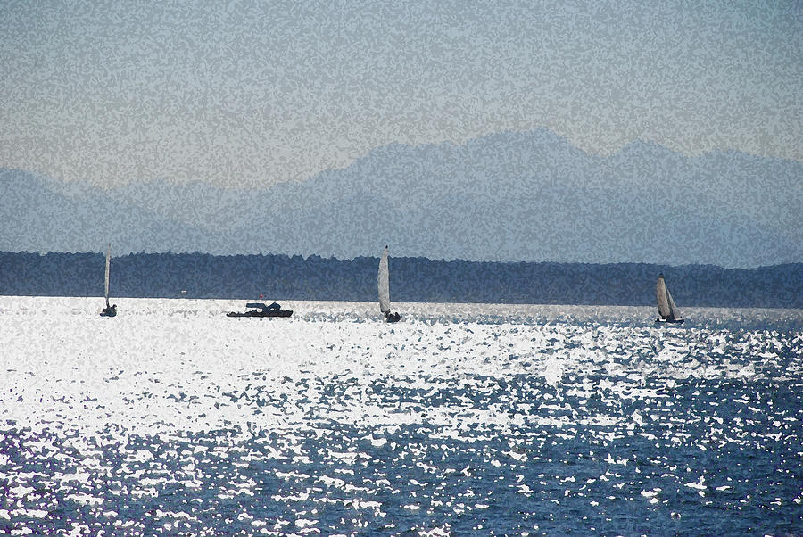 Sunset Sailboats  Photograph by Carol Eliassen