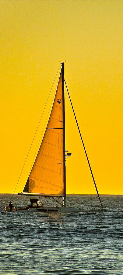 Sunset Sailing Photograph by Liz Vernand