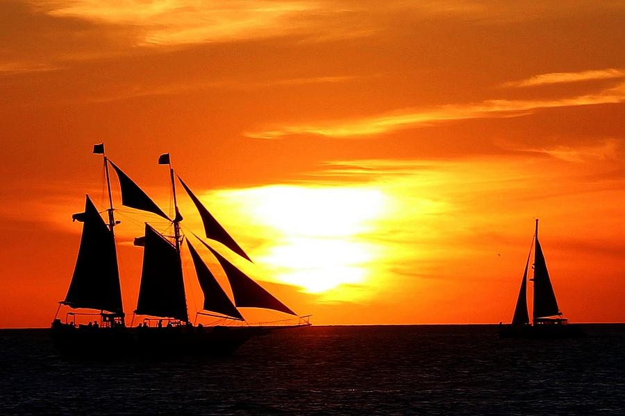 Sunset Sails Photograph by Robert Wilder Jr