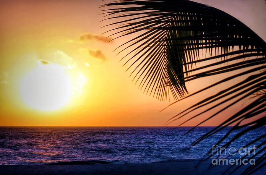 Sunset Salute In Aruba Photograph By Polly Peacock - Fine Art America