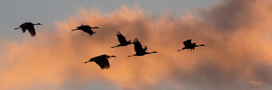 Sunset Sandhills Photograph by Don Anderson