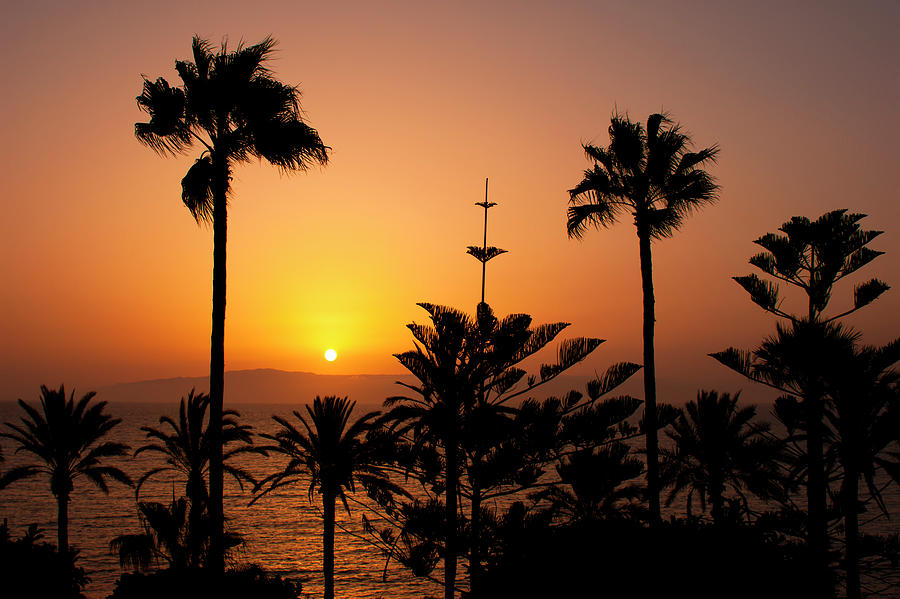 Sunset Photograph - Sunset, sea and palms by Anna Kluba