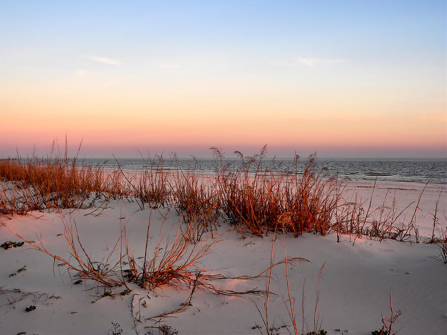 Sunset Sea Oats  Photograph by Kathy K McClellan