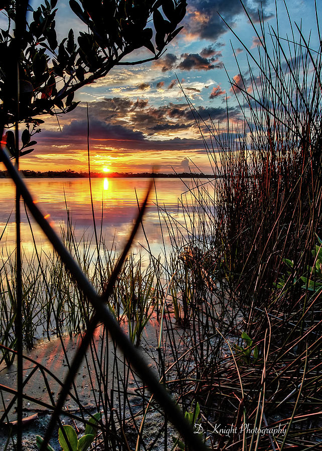Sunset Seagrass Photograph by Dillon Kalkhurst