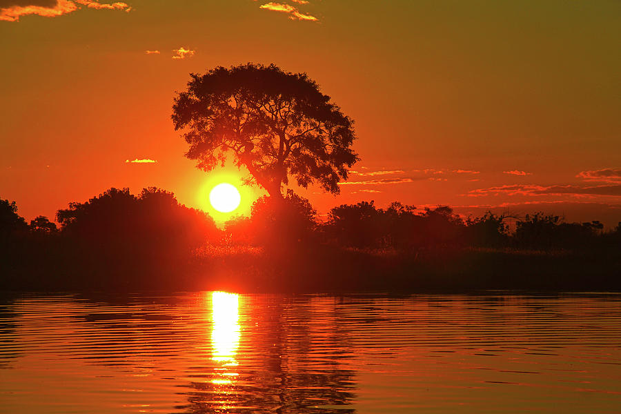 Sunset - Selinda Reserve - Botswana, Africa Photograph by Richard Krebs
