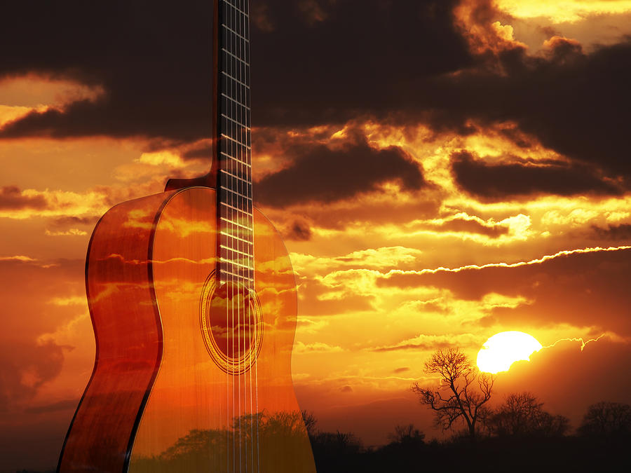 Sunset Serenade On Guitar Photograph by Gill Billington