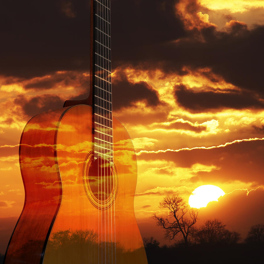 Sunset Serenade On Guitar Square Photograph by Gill Billington