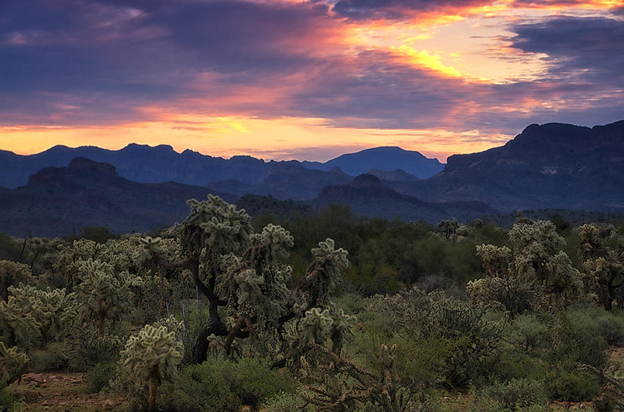 Sunset Serenity in the Desert  Photograph by Saija Lehtonen